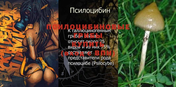 каннабис Дмитров