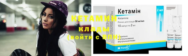 a pvp Дмитровск