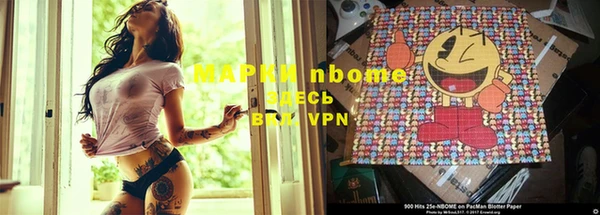 a pvp Дмитровск